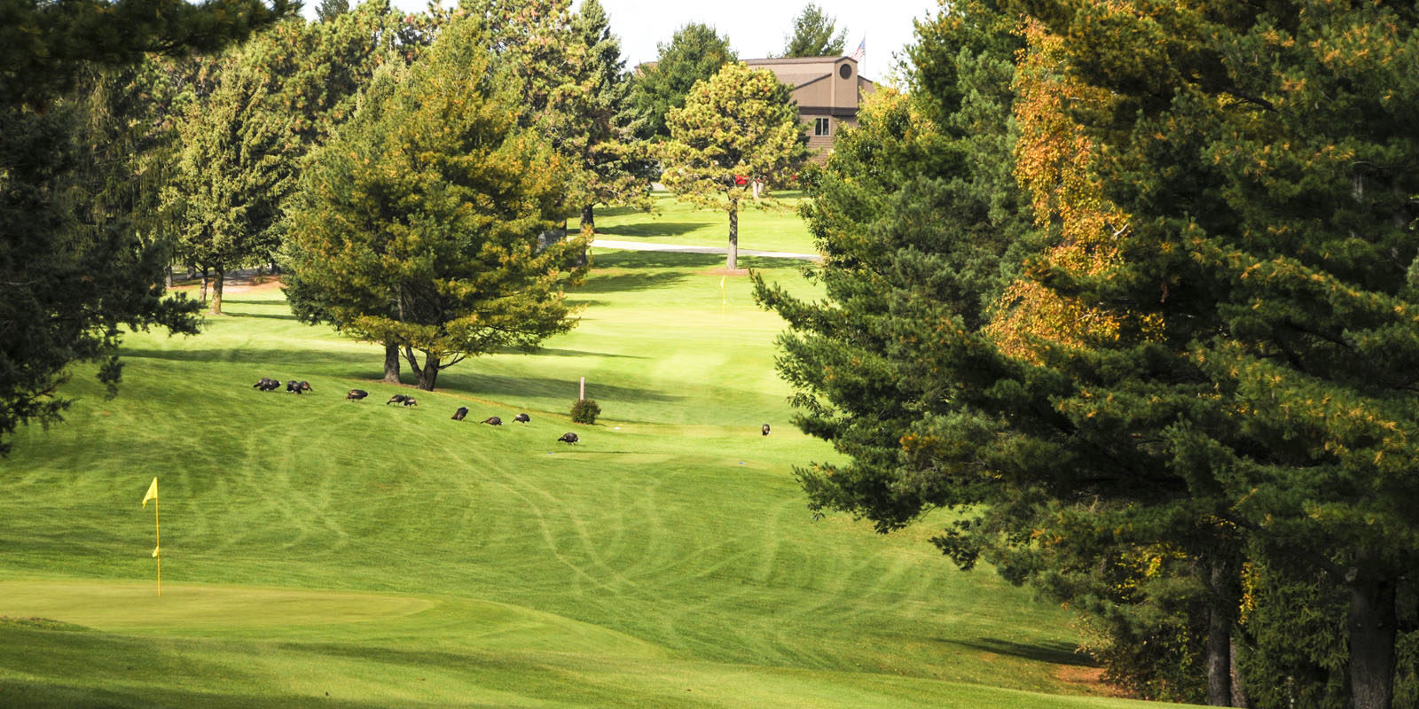 Gallery Mount Frontenac Golf Course